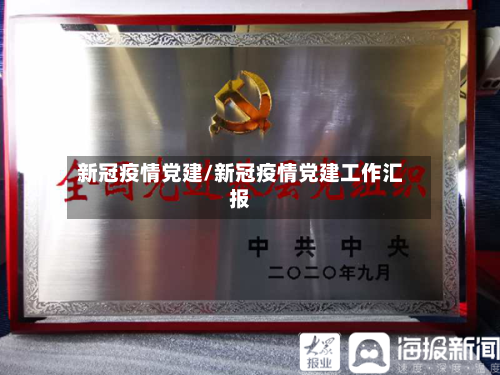 新冠疫情党建/新冠疫情党建工作汇报-第3张图片