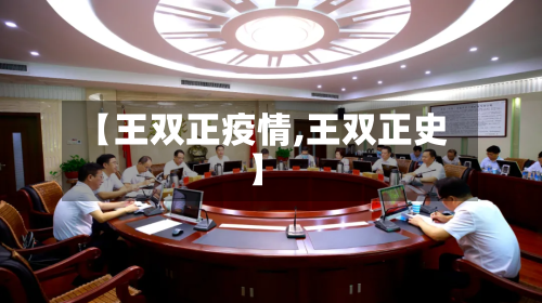 【王双正疫情,王双正史】-第1张图片