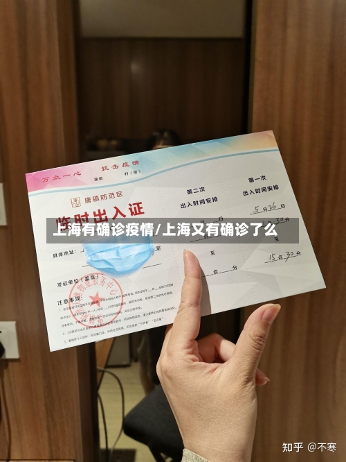 上海有确诊疫情/上海又有确诊了么-第1张图片