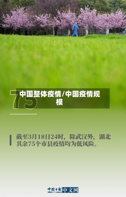中国整体疫情/中国疫情规模-第1张图片