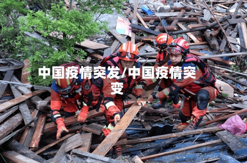 中国疫情突发/中国疫情突变-第1张图片