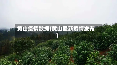 黄山疫情数据(黄山最新疫情发布)-第1张图片