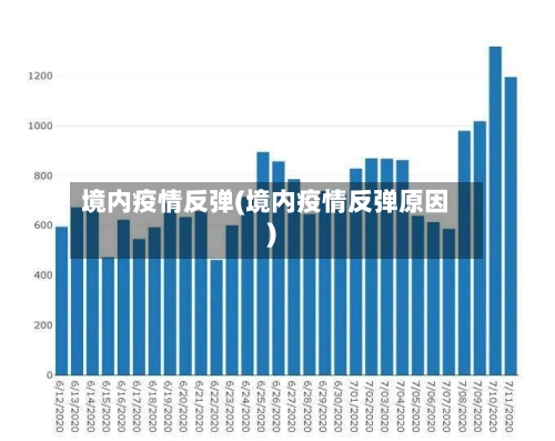 境内疫情反弹(境内疫情反弹原因)-第2张图片
