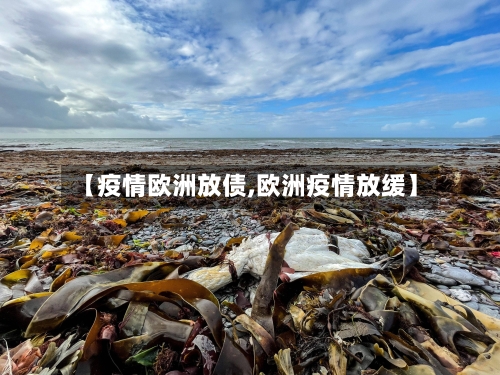 【疫情欧洲放债,欧洲疫情放缓】-第1张图片