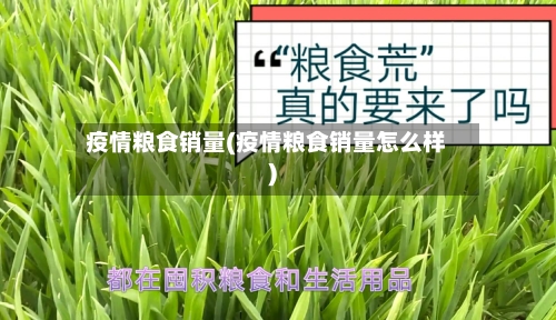 疫情粮食销量(疫情粮食销量怎么样)-第1张图片