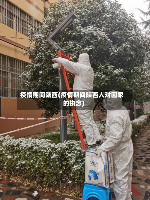 疫情期间陕西(疫情期间陕西人对回家的执念)-第1张图片