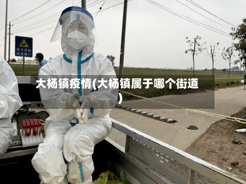 大杨镇疫情(大杨镇属于哪个街道)-第2张图片