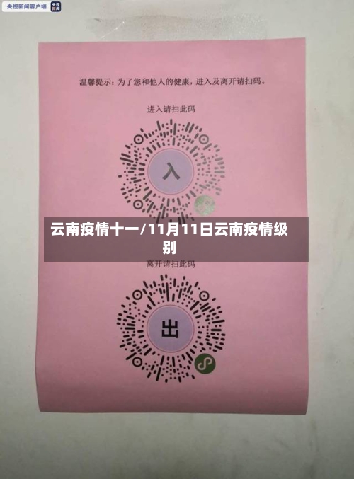 云南疫情十一/11月11日云南疫情级别-第3张图片