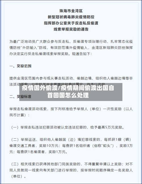疫情国外偷渡/疫情期间偷渡出国自首回国怎么处理-第2张图片
