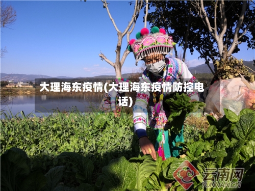 大理海东疫情(大理海东疫情防控电话)-第1张图片