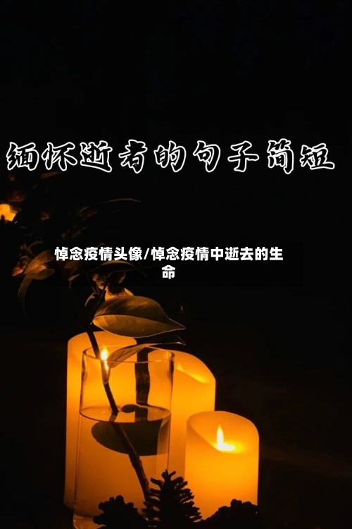 悼念疫情头像/悼念疫情中逝去的生命-第2张图片