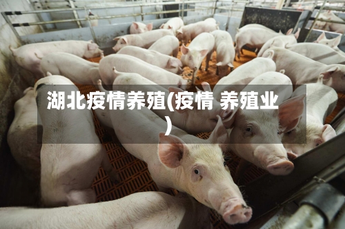 湖北疫情养殖(疫情 养殖业)-第1张图片