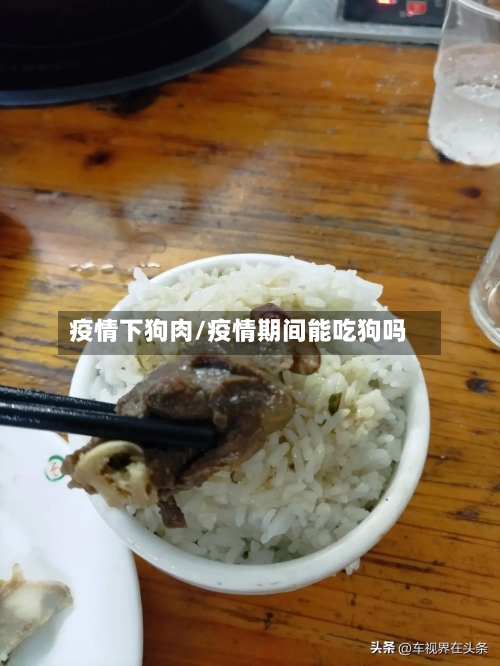 疫情下狗肉/疫情期间能吃狗吗-第3张图片