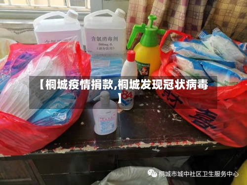 【桐城疫情捐款,桐城发现冠状病毒】-第1张图片