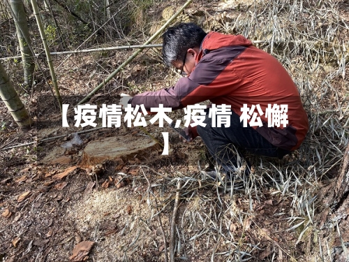 【疫情松木,疫情 松懈】-第1张图片