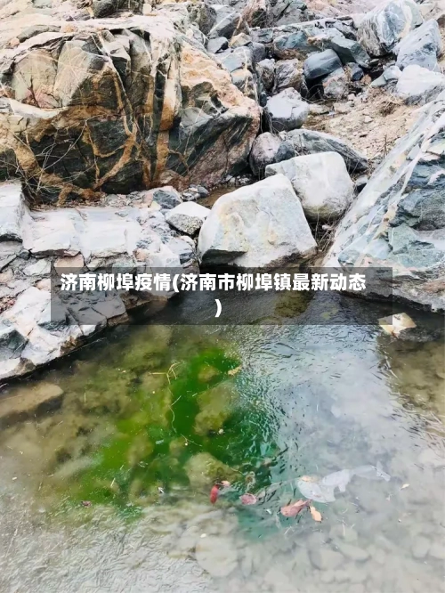 济南柳埠疫情(济南市柳埠镇最新动态)-第1张图片