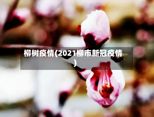 柳树疫情(2021柳市新冠疫情)-第1张图片