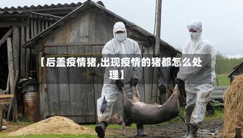 【后盖疫情猪,出现疫情的猪都怎么处理】-第1张图片