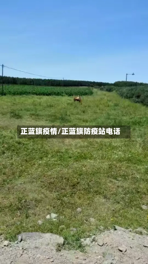 正蓝旗疫情/正蓝旗防疫站电话-第2张图片