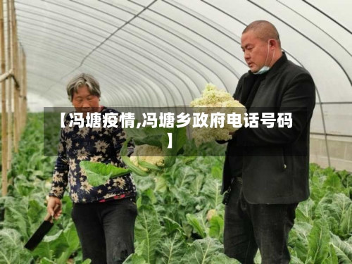 【冯塘疫情,冯塘乡政府电话号码】-第1张图片