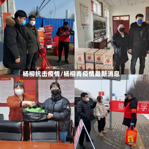 杨柳抗击疫情/杨柳青疫情最新消息-第1张图片