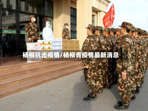 杨柳抗击疫情/杨柳青疫情最新消息-第2张图片