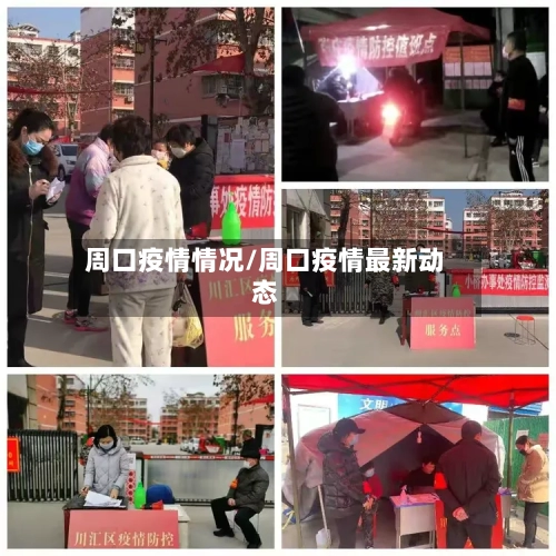 周口疫情情况/周口疫情最新动态-第2张图片