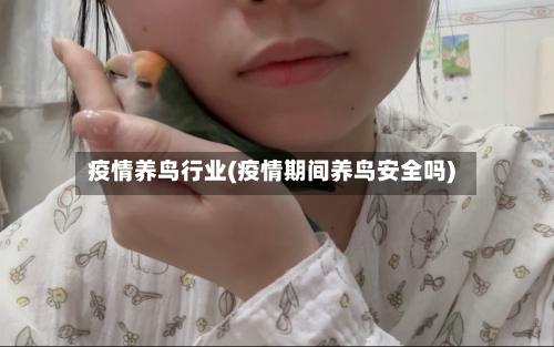 疫情养鸟行业(疫情期间养鸟安全吗)-第1张图片