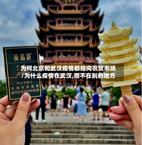 为何北京和武汉疫情都指向农贸市场/为什么疫情在武汉,而不在别的地方-第2张图片