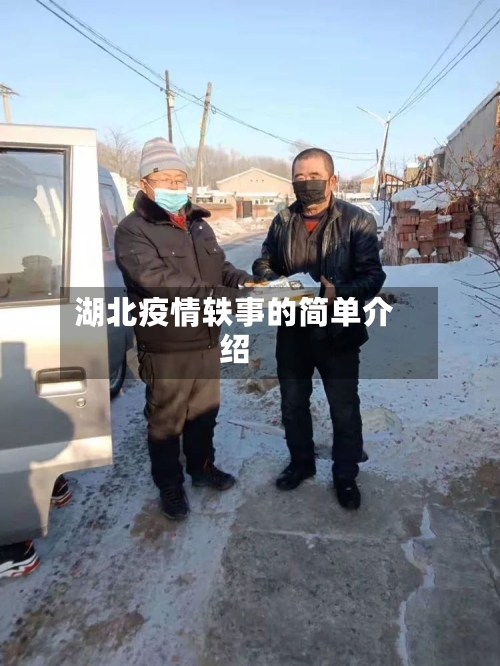 湖北疫情轶事的简单介绍-第1张图片
