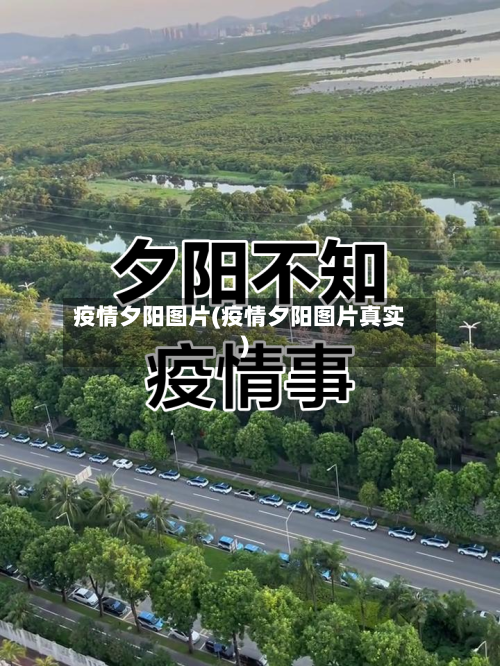 疫情夕阳图片(疫情夕阳图片真实)-第1张图片