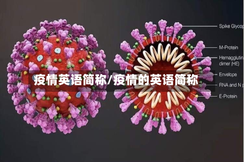 疫情英语简称/疫情的英语简称-第2张图片