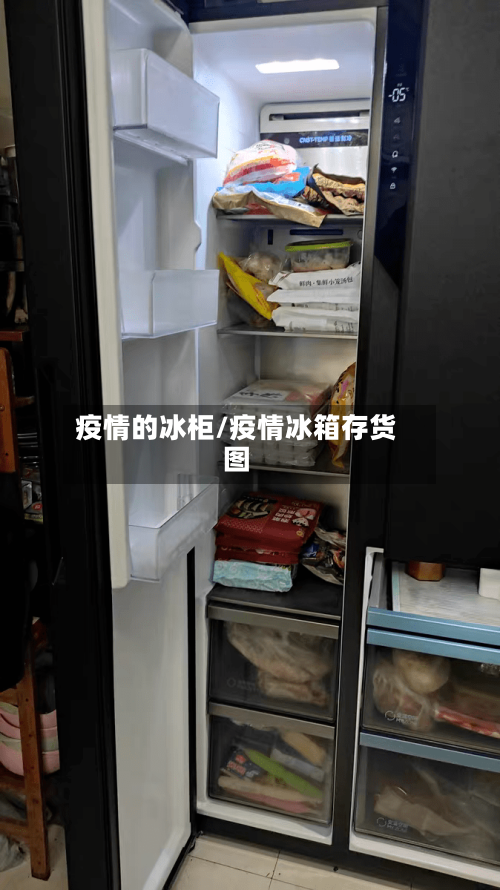 疫情的冰柜/疫情冰箱存货图-第2张图片