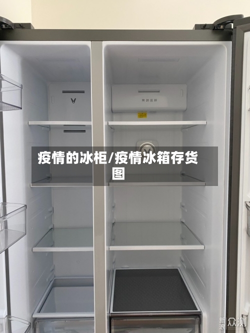 疫情的冰柜/疫情冰箱存货图-第1张图片