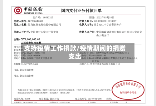 支持疫情工作捐款/疫情期间的捐赠支出-第2张图片
