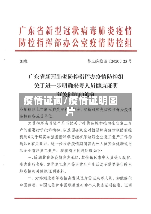 疫情证词/疫情证明图片-第2张图片