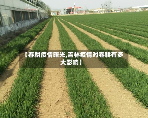 【春耕疫情曙光,吉林疫情对春耕有多大影响】-第1张图片