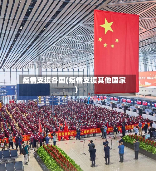 疫情支援各国(疫情支援其他国家)-第3张图片