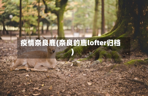 疫情奈良鹿(奈良的鹿lofter归档)-第2张图片