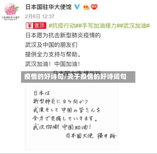 疫情的好诗句/关于疫情的好诗词句-第1张图片