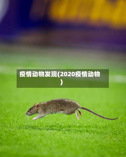 疫情动物发现(2020疫情动物)-第1张图片