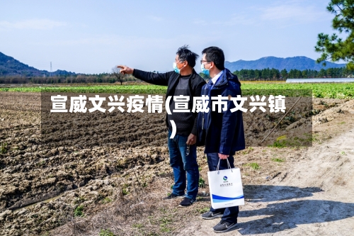 宣威文兴疫情(宣威市文兴镇)-第2张图片