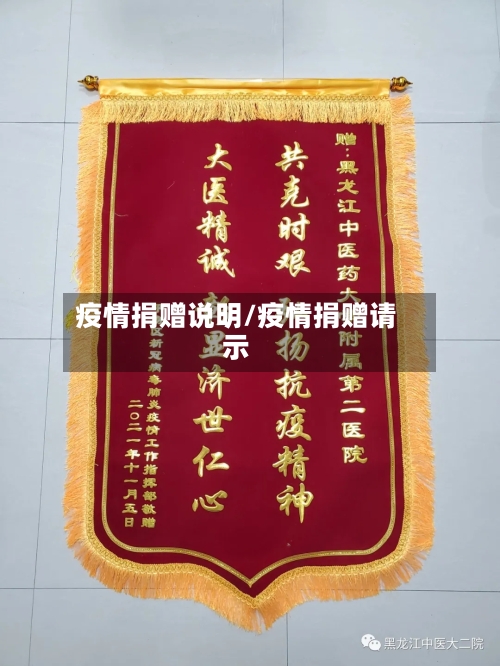 疫情捐赠说明/疫情捐赠请示-第1张图片