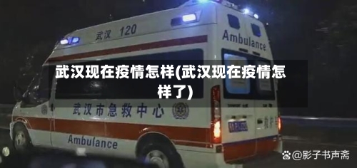 武汉现在疫情怎样(武汉现在疫情怎样了)-第1张图片