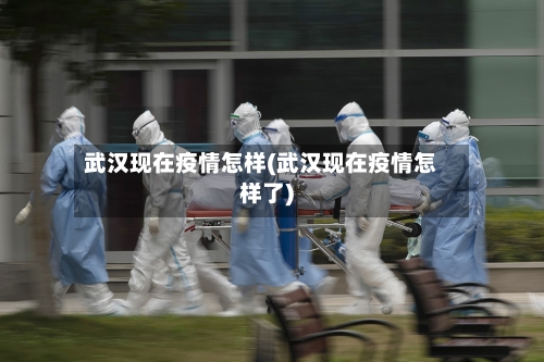 武汉现在疫情怎样(武汉现在疫情怎样了)-第3张图片