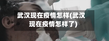 武汉现在疫情怎样(武汉现在疫情怎样了)-第2张图片