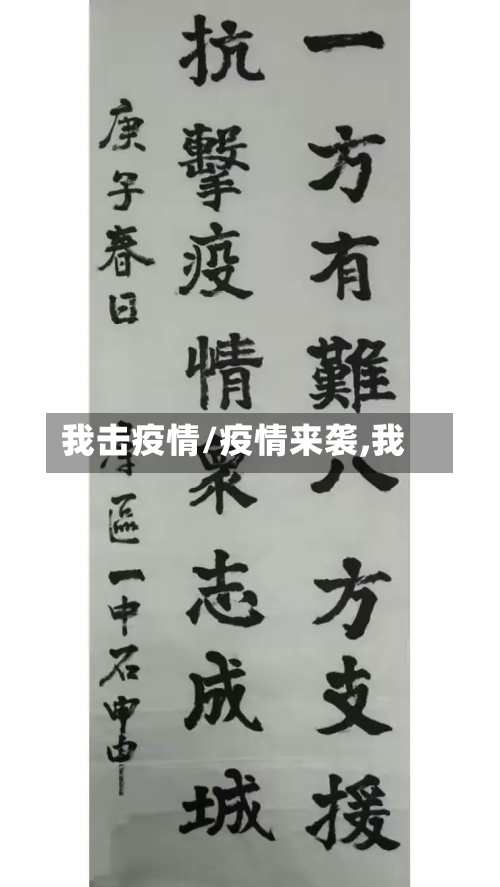 我击疫情/疫情来袭,我-第1张图片