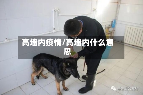 高墙内疫情/高墙内什么意思-第1张图片