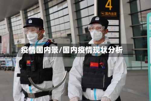 疫情国内景/国内疫情现状分析-第1张图片
